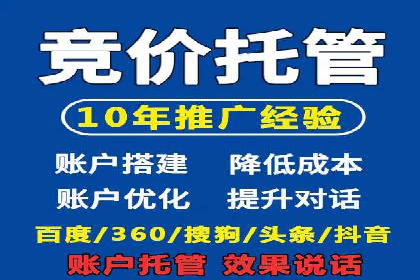 成功运用SEM服务实现品牌推广的案例分析